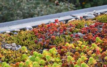 the cost of Greensted Green green roof installation
