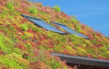 Greensted Green living roof systems